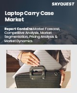 Global Laptop Carry Case Market