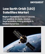 Global Low Earth Orbit (LEO) Satellites Market