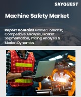 Global Machine Safety Market