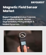 Global Magnetic Field Sensor Market