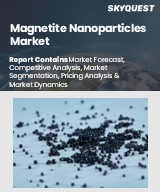 Global Magnetite Nanoparticles Market