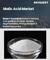 Global Malic Acid Market