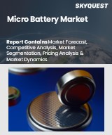 Global Micro Battery Market