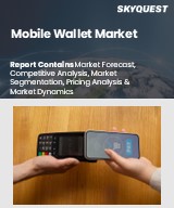 Global Mobile Wallet Market