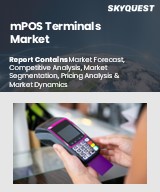 Global mPOS Terminals Market