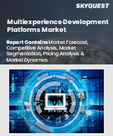 Global Multiexperience Development Platforms Market