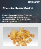 Global Phenolic Resin Market