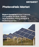 Global Photovoltaic Market