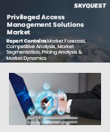 Global Privileged Access Management Solutions Market