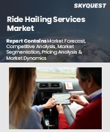Global Ride Hailing Services Market
