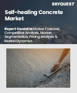 Global Self-Healing Concrete Market