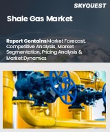 Global Shale Gas Market