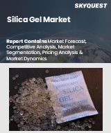 Global Silica Gel Market
