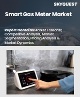 Global Smart Gas Meter Market