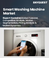 Global Smart Washing Machine Market