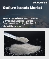 Global Sodium Lactate Market