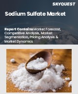 Global Sodium Sulfate Market