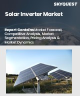Global Solar Inverter Market