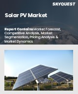 Global Solar PV Market