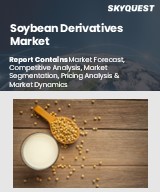 Global Soybean Derivatives Market