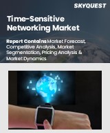 Global Time-Sensitive Networking Market