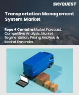 Global Transportation Management System Market