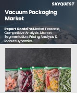 Global Vacuum Packaging Market