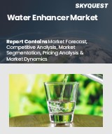 Global Water Enhancer Market
