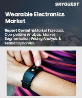 Global Wearable Electronics Market