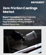 Global Zero Friction Coatings Market