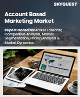 Global Account Based Marketing Market