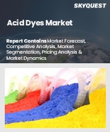 Global Acid Dyes Market