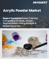 Global Acrylic Powder Market