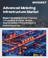 Global Advanced Metering Infrastructure Market