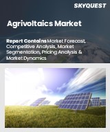 Global Agrivoltaics Market