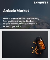 Global Anisole Market