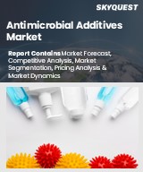 Global Antimicrobial Additives Market