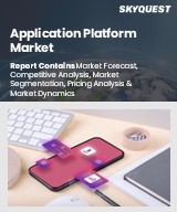 Global Application Platform Market