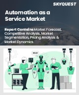 Global Automation as a Service Market