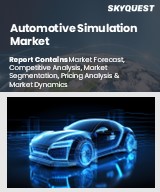 Global Automotive Simulation Market