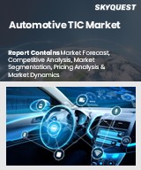Global Automotive TIC Market