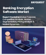 Global Banking Encryption Software Market