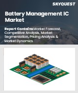 Global Battery Management IC Market