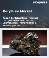 Global Beryllium Market