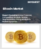Global Bitcoin Market