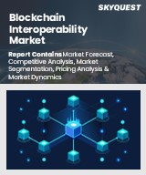 Global Blockchain Interoperability Market