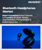 Global Bluetooth Headphones Market