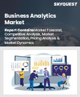 Global Business Analytics Market