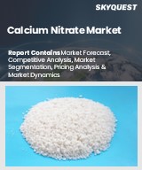 Global Calcium Nitrate Market