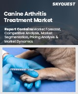 Global Canine Arthritis Treatment Market